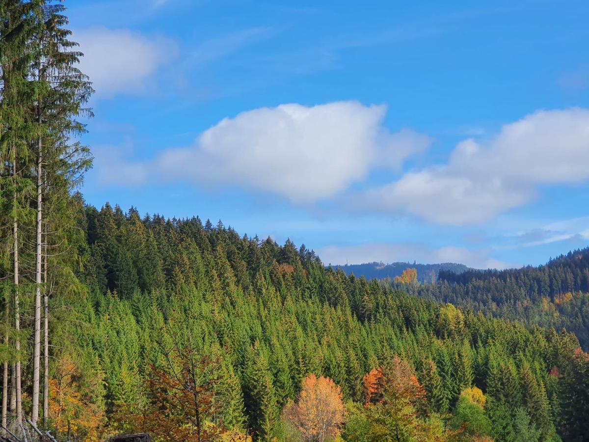Ferienhaeuser & Bungalows - Naturcamp Meyersgrund Im Thueringer Wald 일메나우 외부 사진