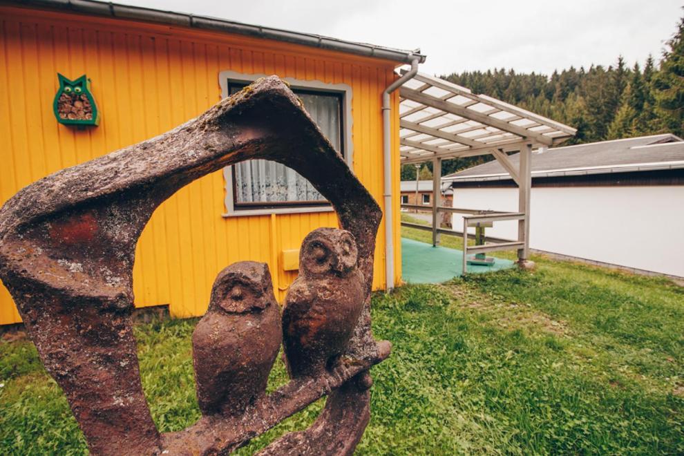 Ferienhaeuser & Bungalows - Naturcamp Meyersgrund Im Thueringer Wald 일메나우 외부 사진